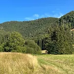 Empujon